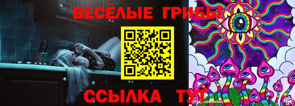 Галлюциногенные грибы GOLDEN TEACHER  Галлюциногенные грибы Psilocybe  купить наркотики цена  Вход с VPN  Сунжа 