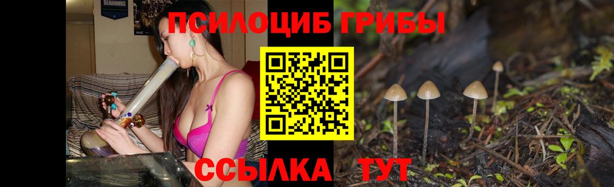 Псилоцибиновые грибы мухоморы Сунжа